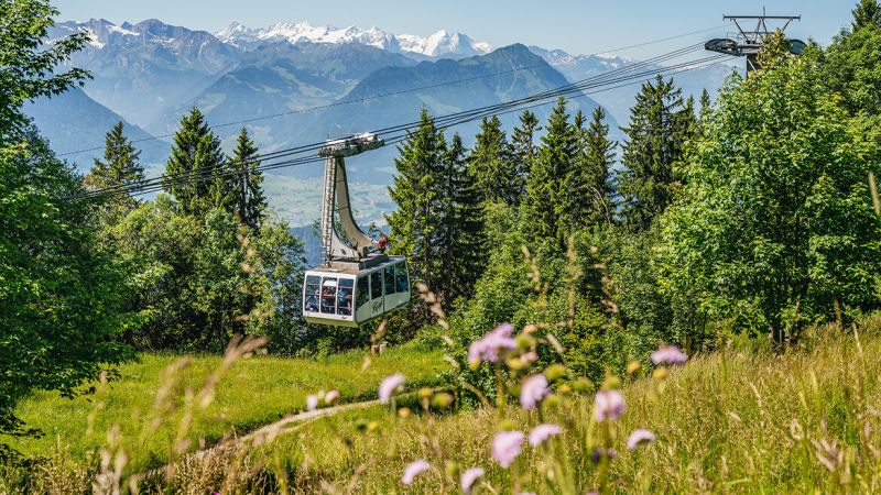 Luftseilbahn Weggis-Rigi Kaltbad